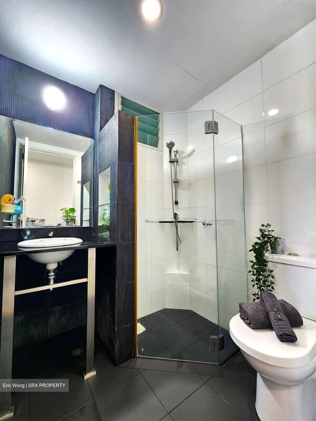 Park Green (D19), Condominium #496157961